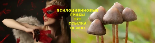 PSILOCYBIN Алексин