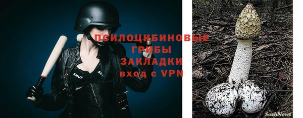 PSILOCYBIN Алексин